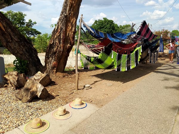 Man films selfie near hammock display in San Carlos