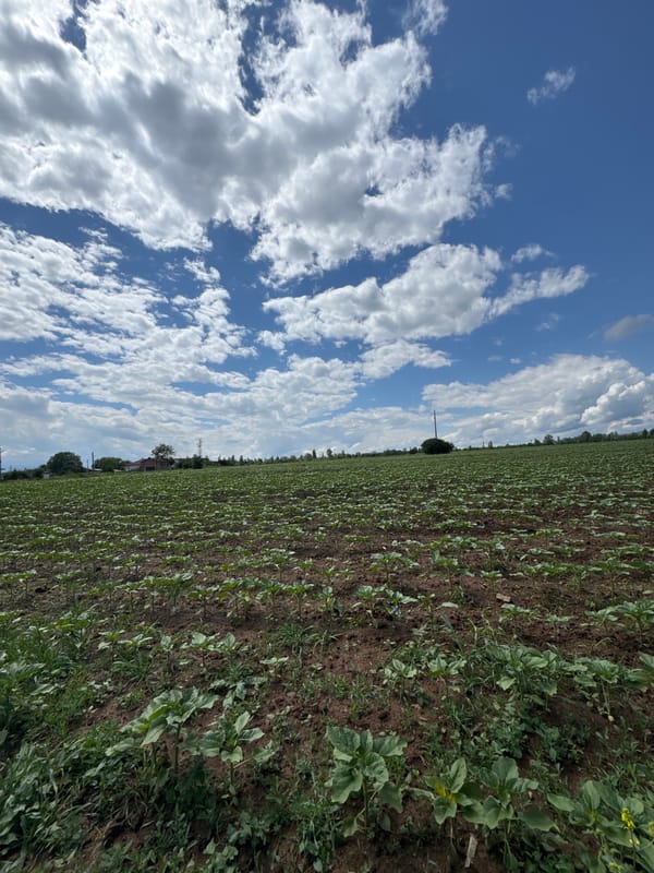 Rural Bulgarian countryside scenes captured during sunny afternoon