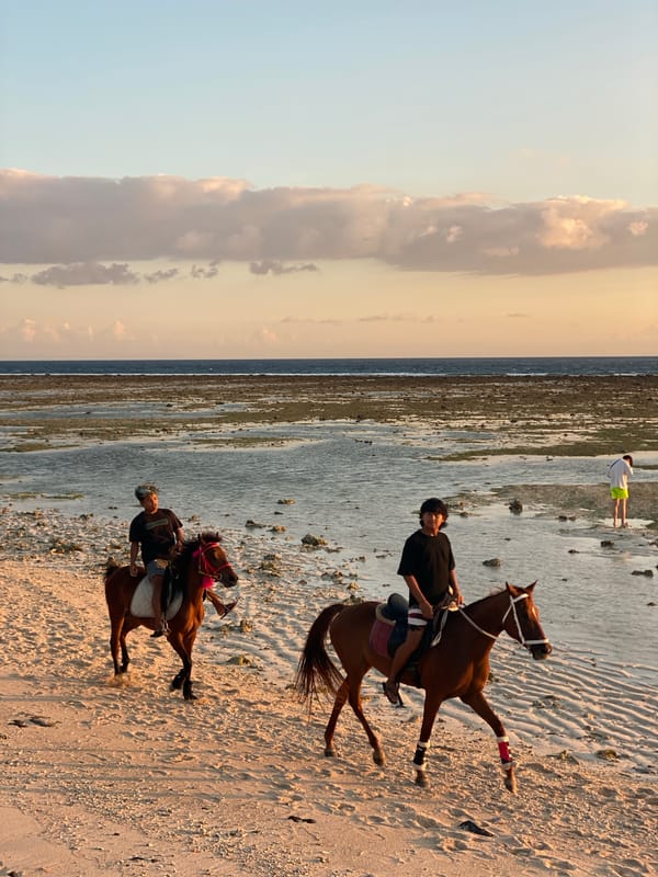Horses, golden light, and beach bars at Gili Trawangan sunset