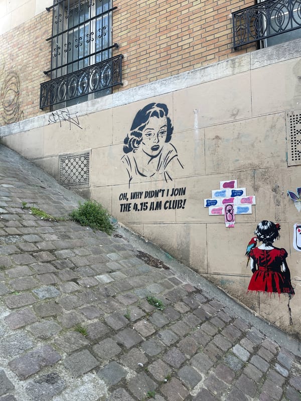 Street art display documented on Paris building wall