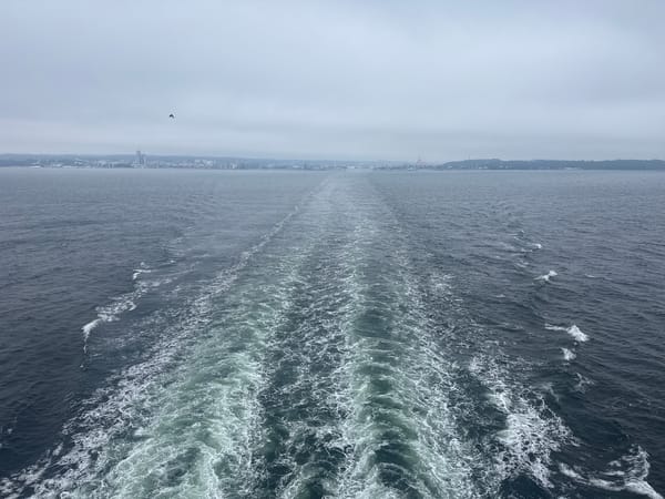 Ferry crossing Gdynia harbor past cargo ships on a grey morning
