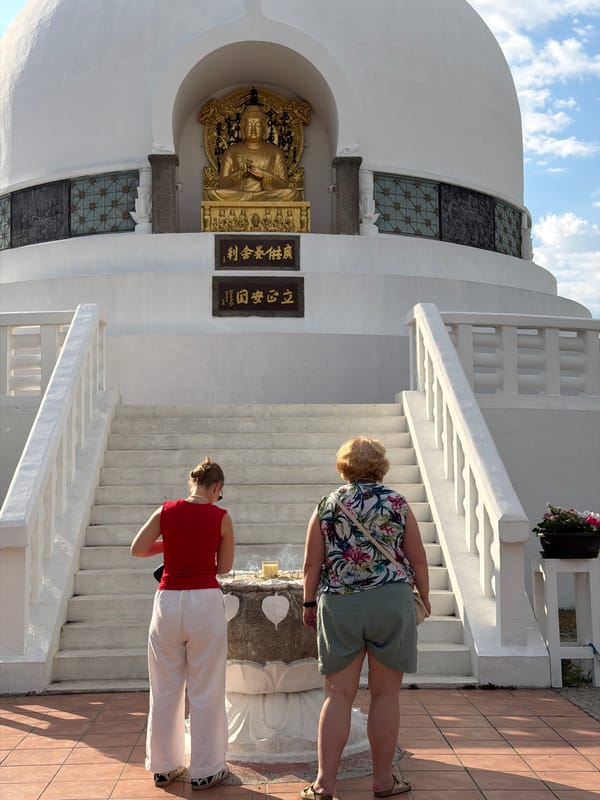 Vienna's Peace Pagoda and park wildlife on a summer afternoon