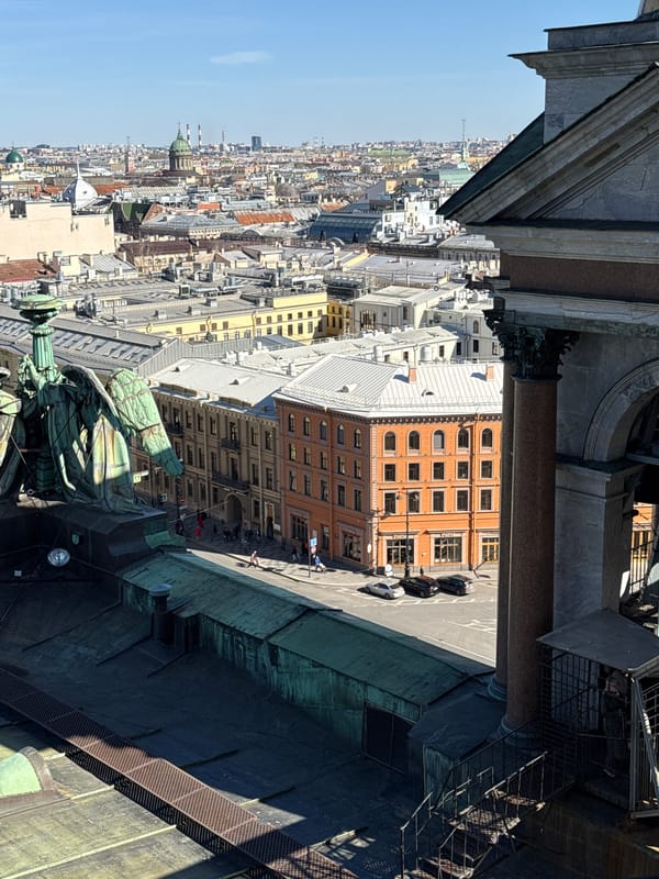Tourist captures elevated views of Saint Petersburg cityscape