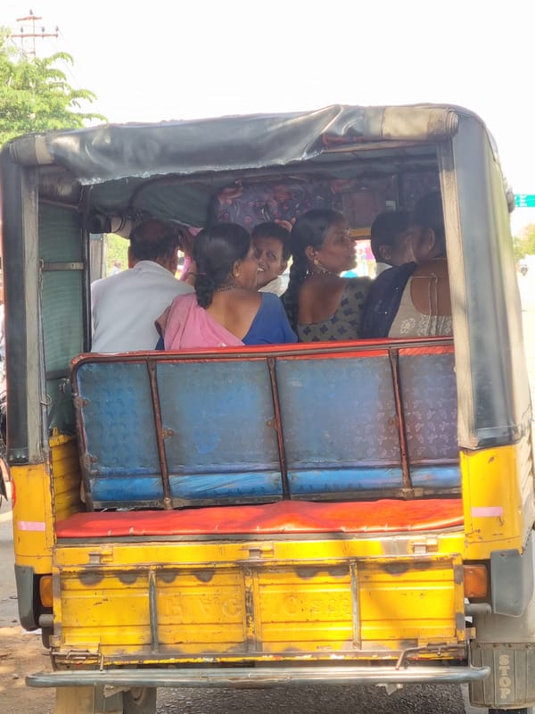 Early morning activity documented at Kodikonda Check Post