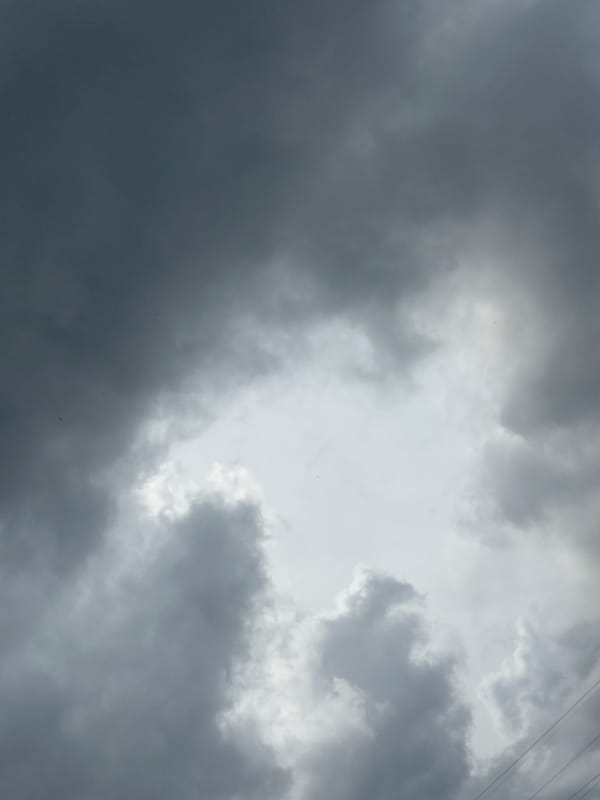 Stormy sky, a globe lamp, and pigeons on patchy ground.