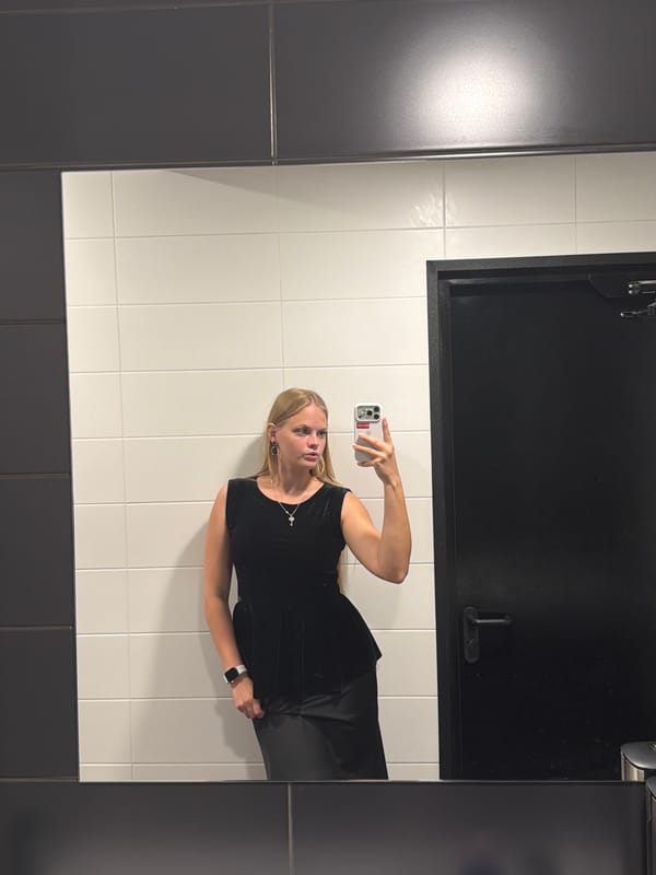 Mirror selfie session in an Izhevsk restroom, July 2026