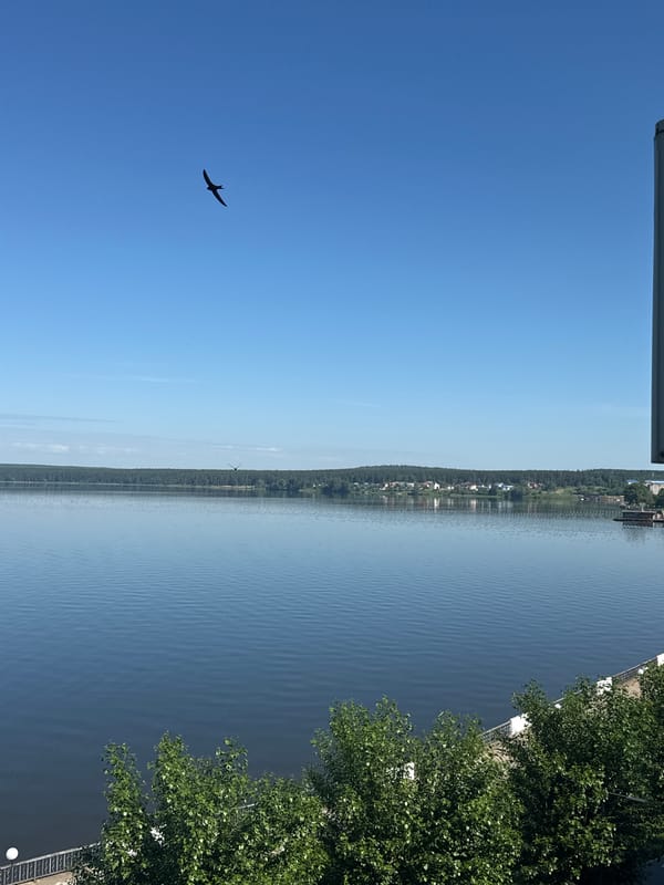 Morning tranquility captured at Votkinskoye Reservoir, birds soaring overhead