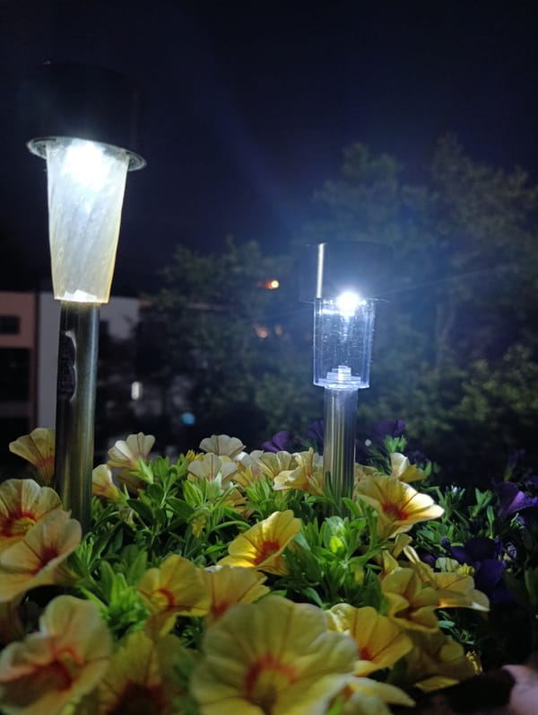 Evening nature scenes documented in Plovdiv, Bulgaria