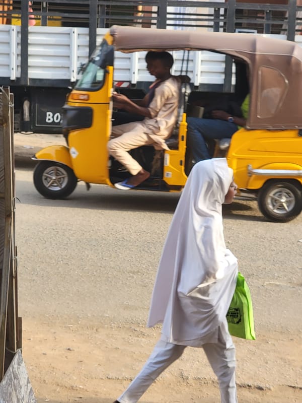 Daily street commerce observed in Maiburiji, Nigeria