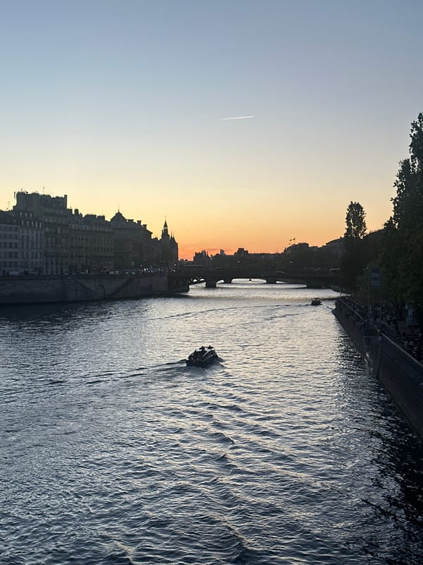 Ordinary Paris evening: river traffic, scavenging pigeons, overflowing bins