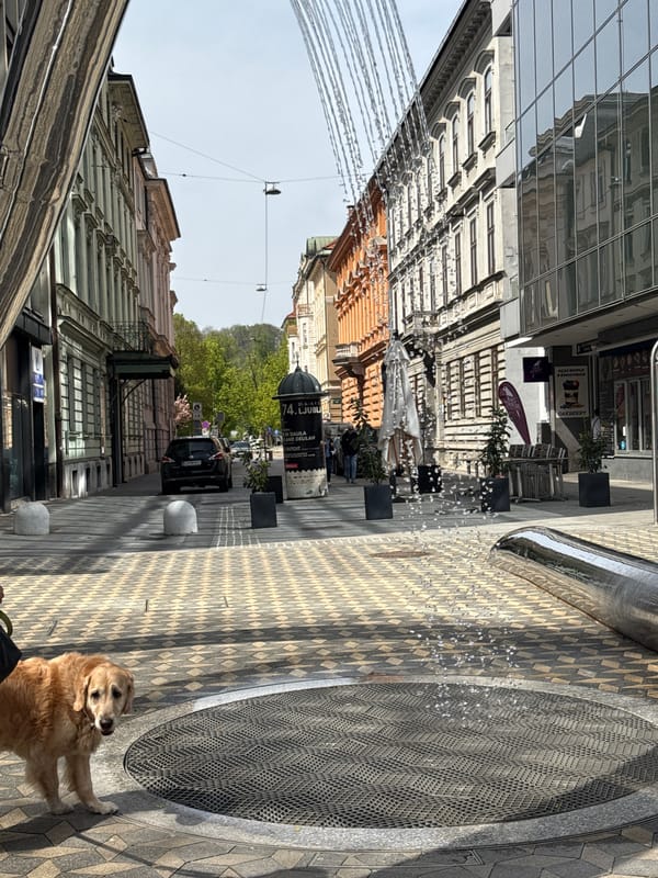Morning snapshots capture everyday Ljubljana street life and architecture