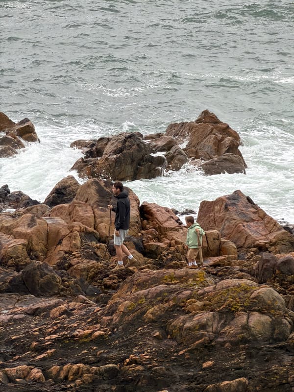 Stormy weather documented across Porto's coastline and gardens