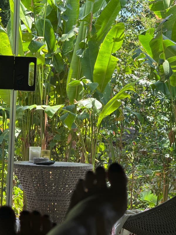 Kitten plays on bed in North Kuta home