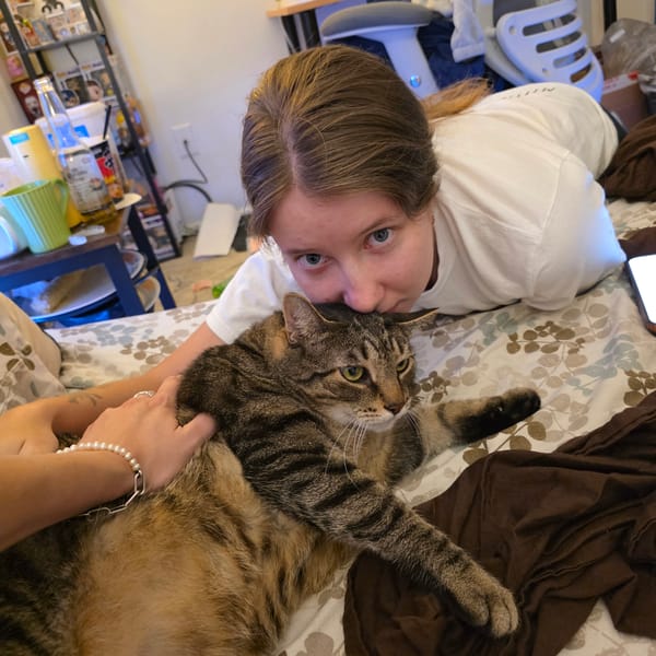 Chilling with a tabby cat in a Portland bedroom
