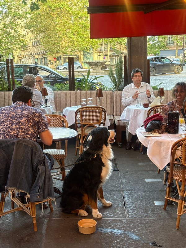 Evening street life documented across Paris neighborhood