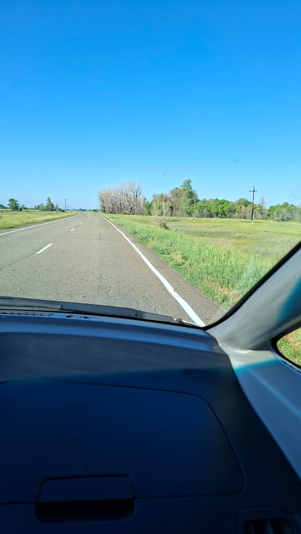 Woman drives through rural countryside during early morning hours