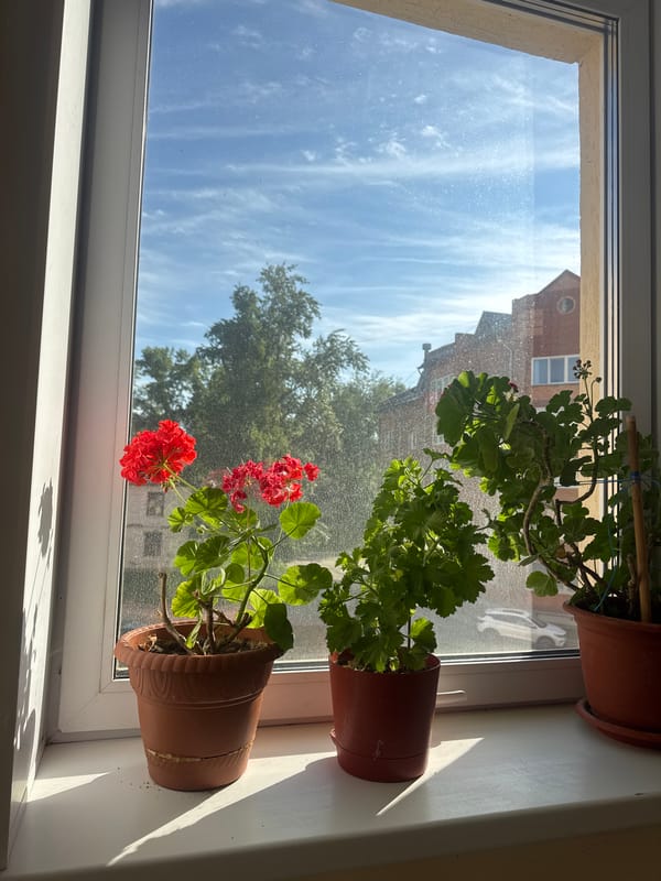 Quiet morning moments captured in Chaikovsky, Russia