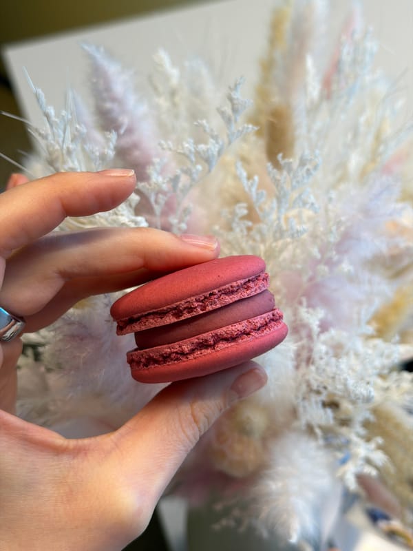 Morning food photography session documented in Riga café setting