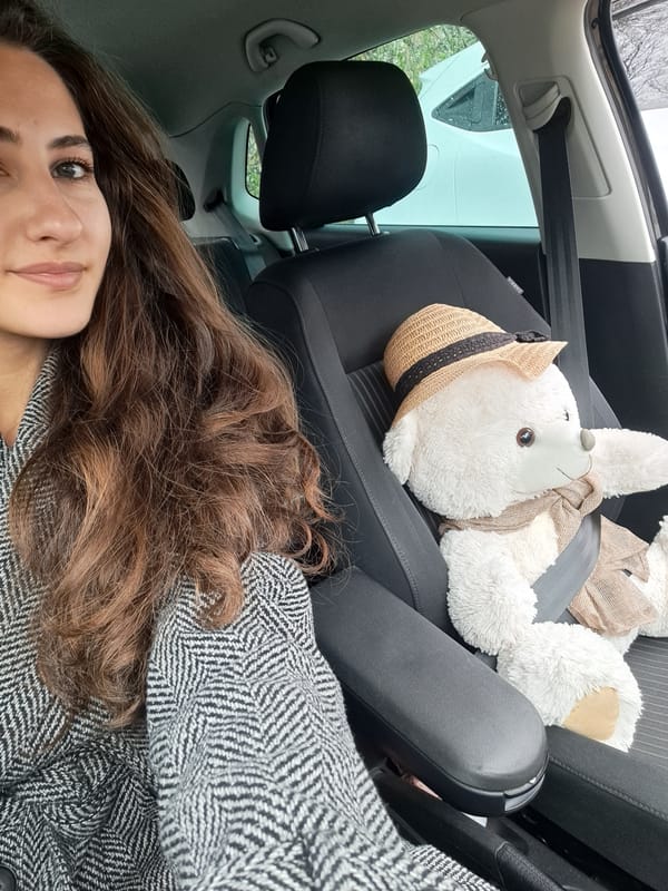Person takes car selfie, shops nail polish in Sofia