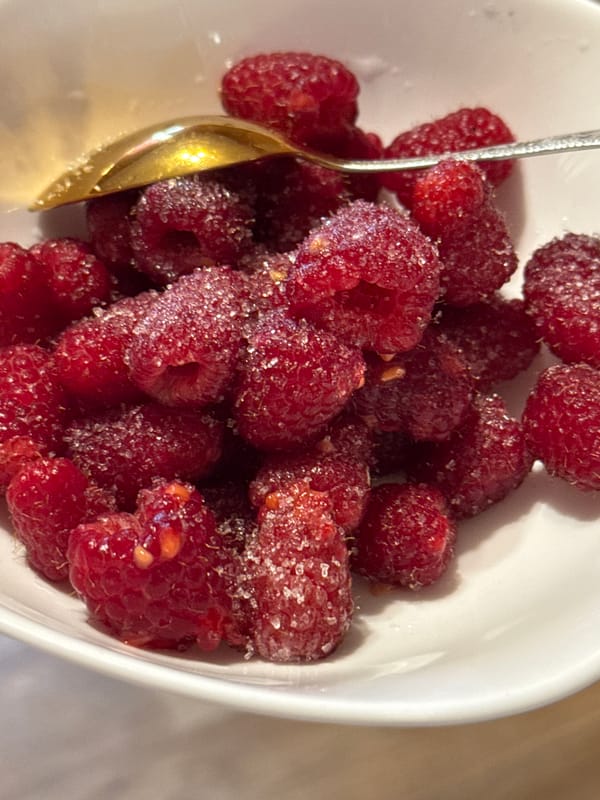 Cats on windowsills and raspberries on a quiet afternoon