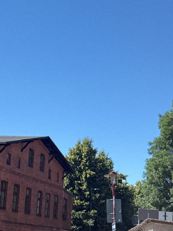 Sunny afternoon at home: gardens, rooftops, and everyday objects