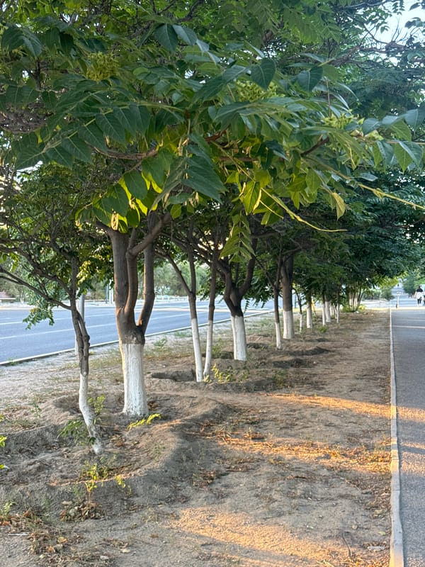 Morning walk through Aktau's streets, parks, and promenade