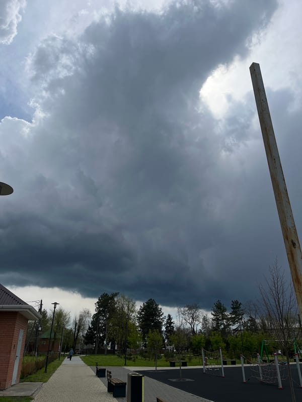 Stormy weather documented in Novopokrovskaya park area