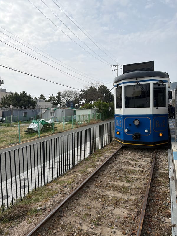 Tourist documents Busan sightseeing tour including temples, trains, coastline