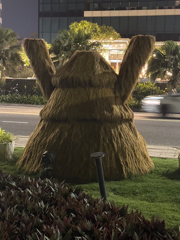 Nighttime scenes with topiary art and dogs documented in Đà Nẵng