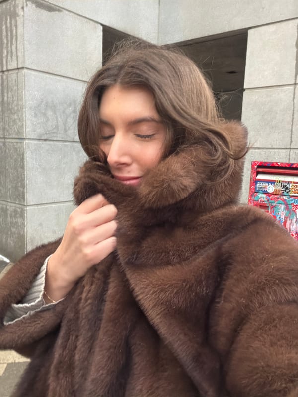 Evening snapshots capture Montreal life across multiple locations