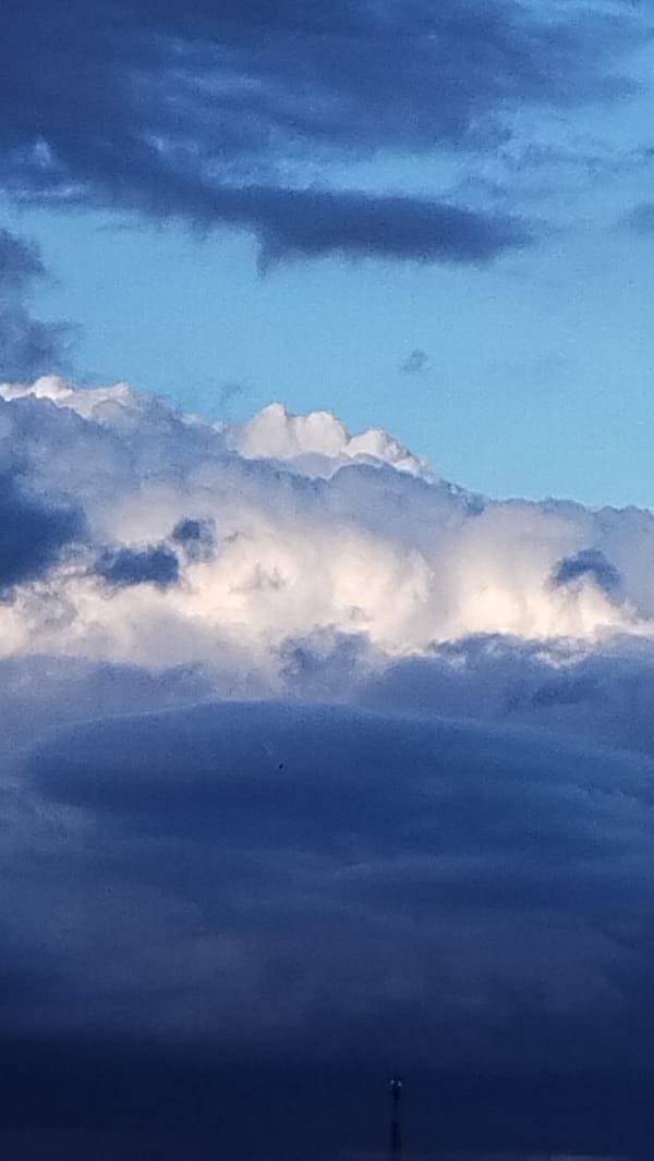 Sky watch: storm clouds moving in over a tree-lined horizon