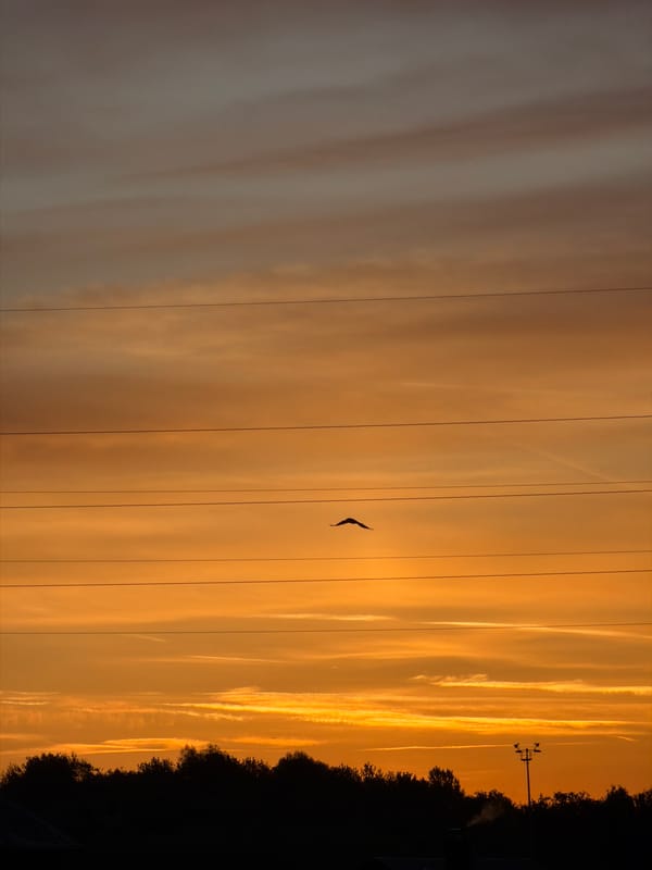 Dawn breaks over industrial Esch-sur-Alzette, Luxembourg