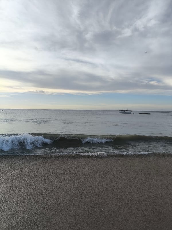 Evening beach scene captured in Pedro González, Venezuela