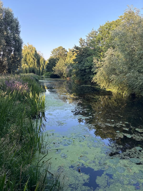 Chelmsford canals, streets, and green spaces on a summer evening