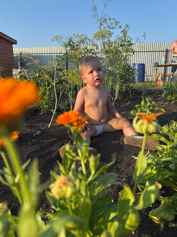 Toddler, dogs, and blooming flowers in an Otradny garden