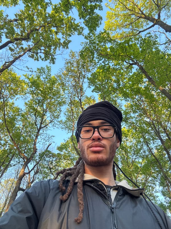 Two men socialize in French forest during evening hours