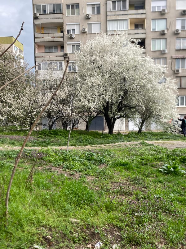 Everyday moments captured across Stara Zagora, Bulgaria