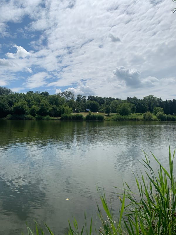 Lakeside fishing session in Dondușeni, Moldova, small catch landed