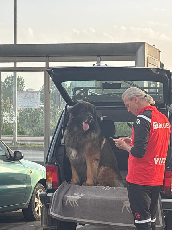 Spring afternoon scenes documented across Bar, Montenegro