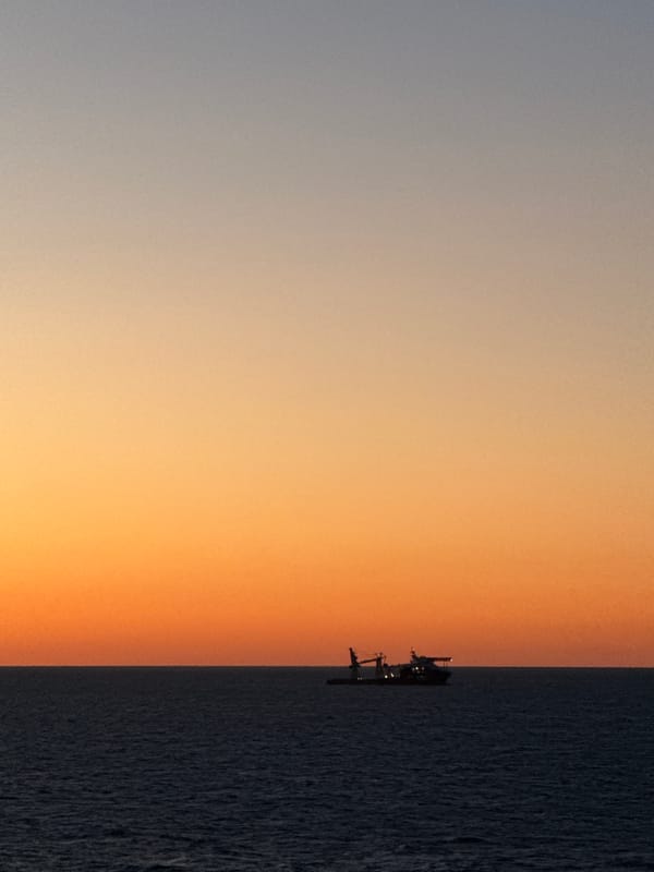Gulf sunset documented with birds, oil rig visible
