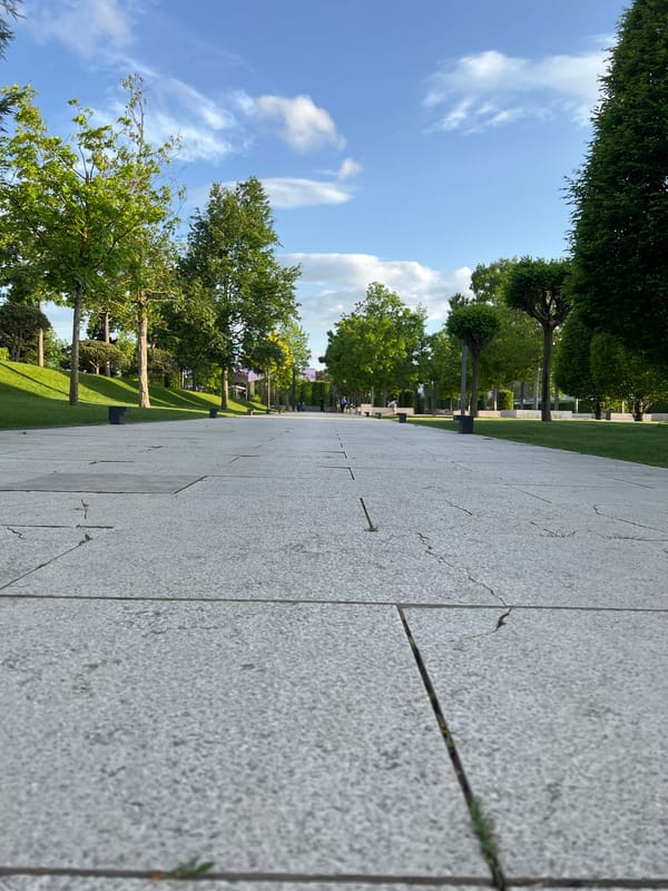 Afternoon stroll documented near Krasnodar Stadium parklands