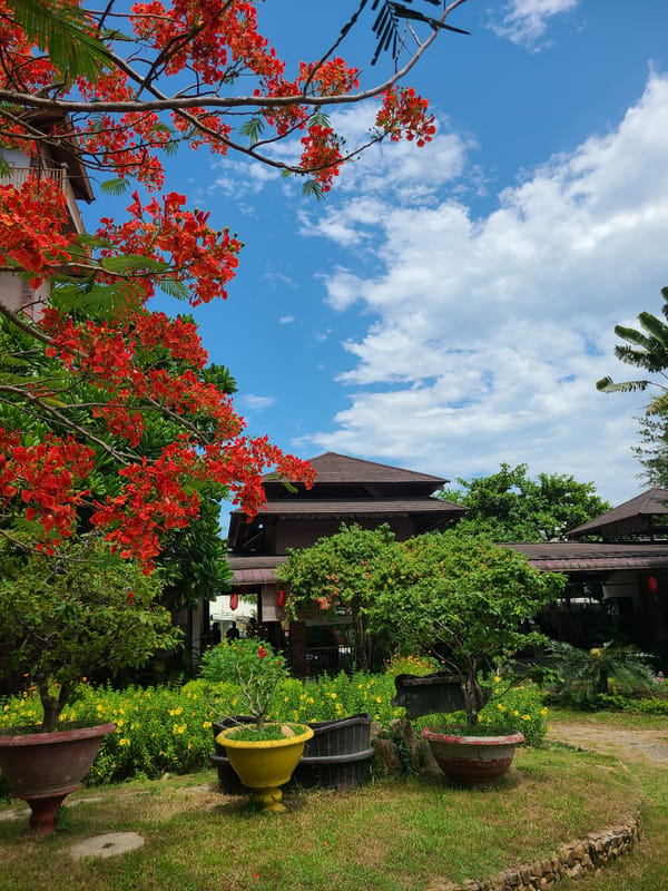 Morning at a lush resort garden and waterfall park in Nha Trang