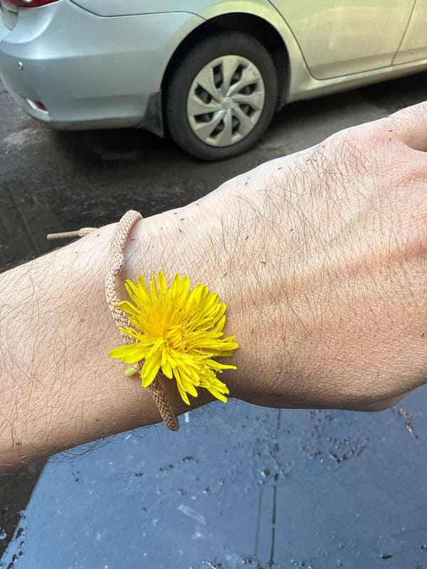 Stormy skies, street cats, and wrist checks on a grey day