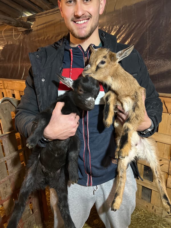 Farm visit in Berkovitsa includes animal feeding and care