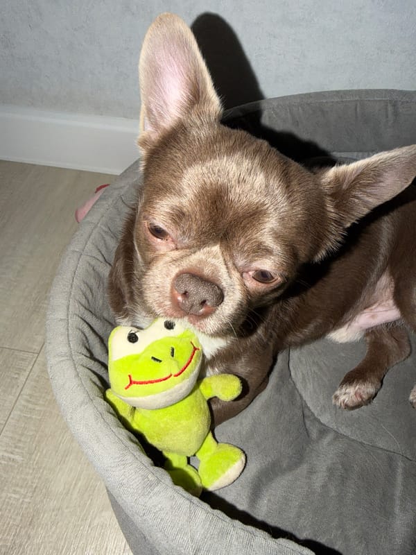 Toddler plays with kitchen items, bucket in Votkinsk home