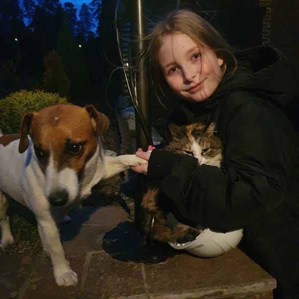 Outdoor pet interactions and playful activities captured in Chaikovsky