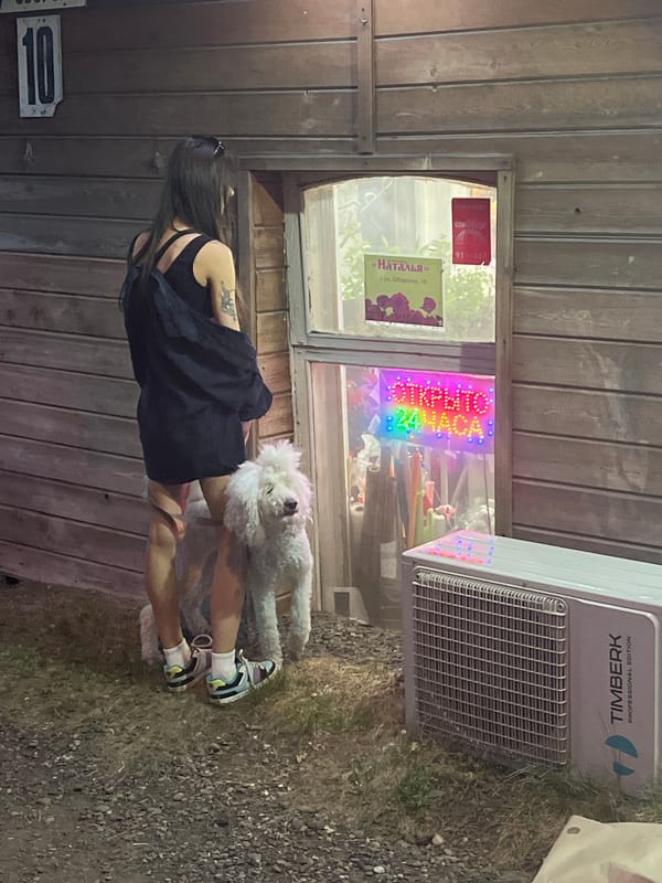 Evening dog park social hour in Krasnoyarsk