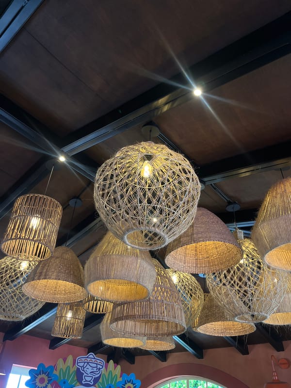 Diner documents traditional Mexican meal at Puebla restaurant