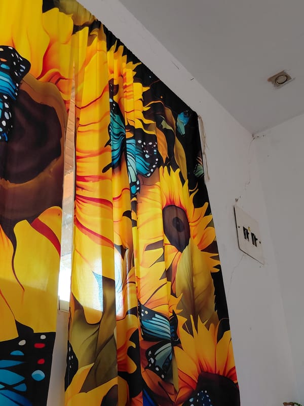 Inside a Santa Ana home: altars, anime, and everyday decor