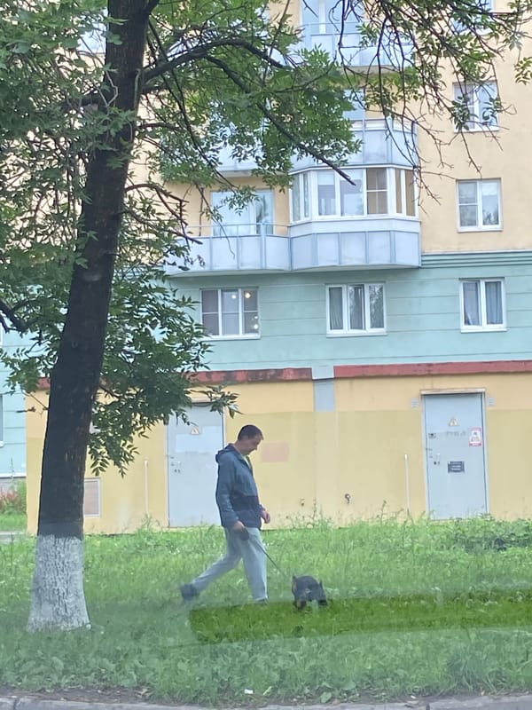 Rainy afternoon around a Saint Petersburg residential block